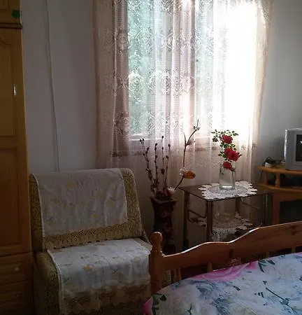 Stefani-elena *